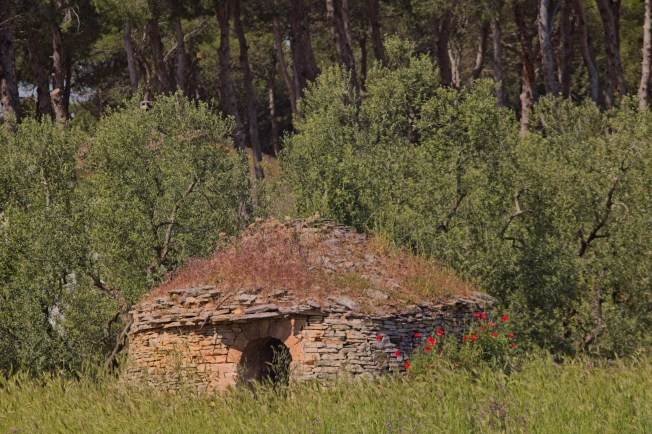 Trullo in countryside